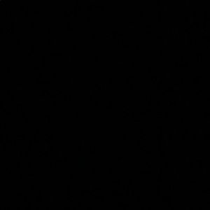 Meet your Posher, Lou-anne